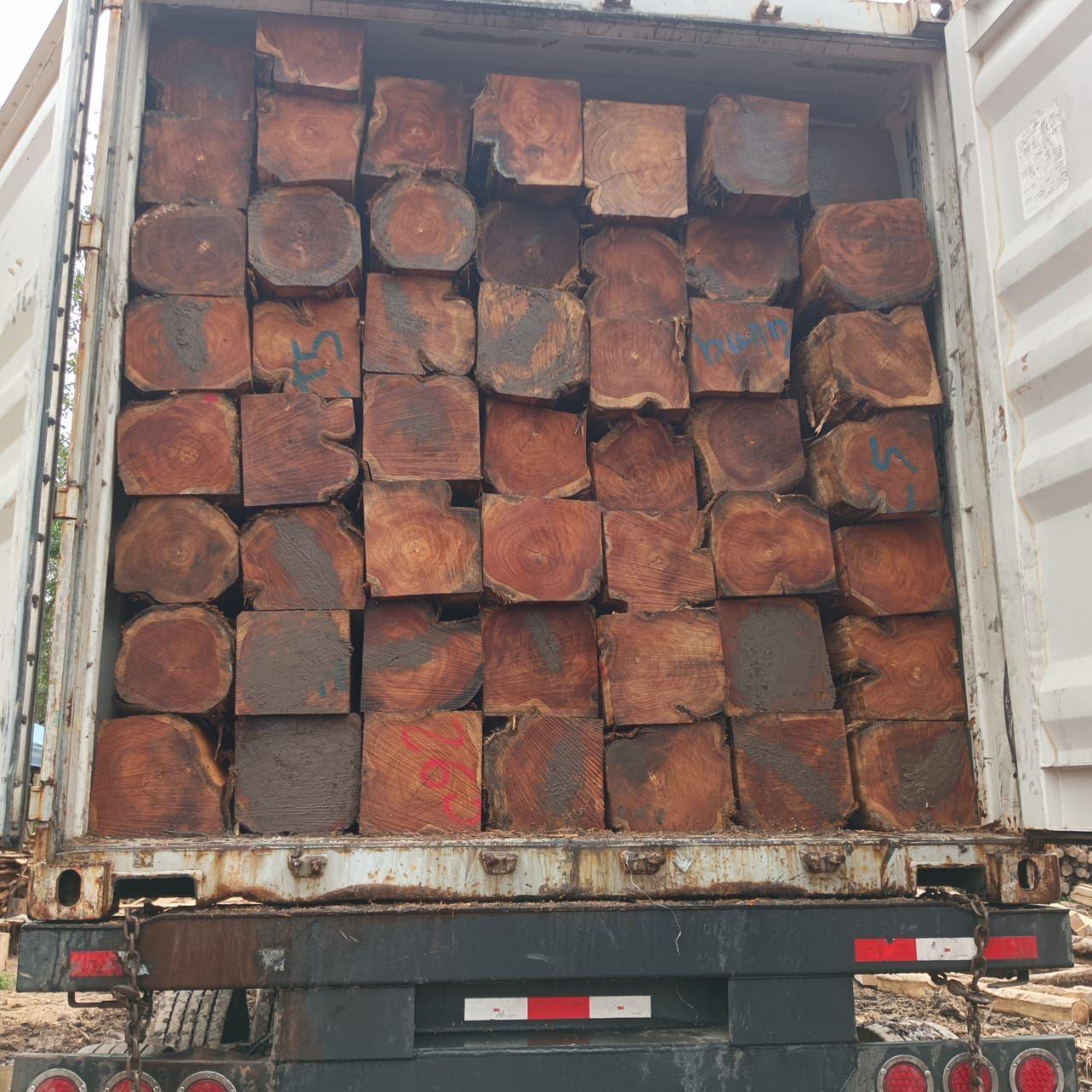 Ecuador Teak 5